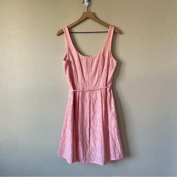 Pappagallo Pink Fit and Flare Sleeveless Waist Tie Barbiecore Dress- size 12 - Picture 3 of 13